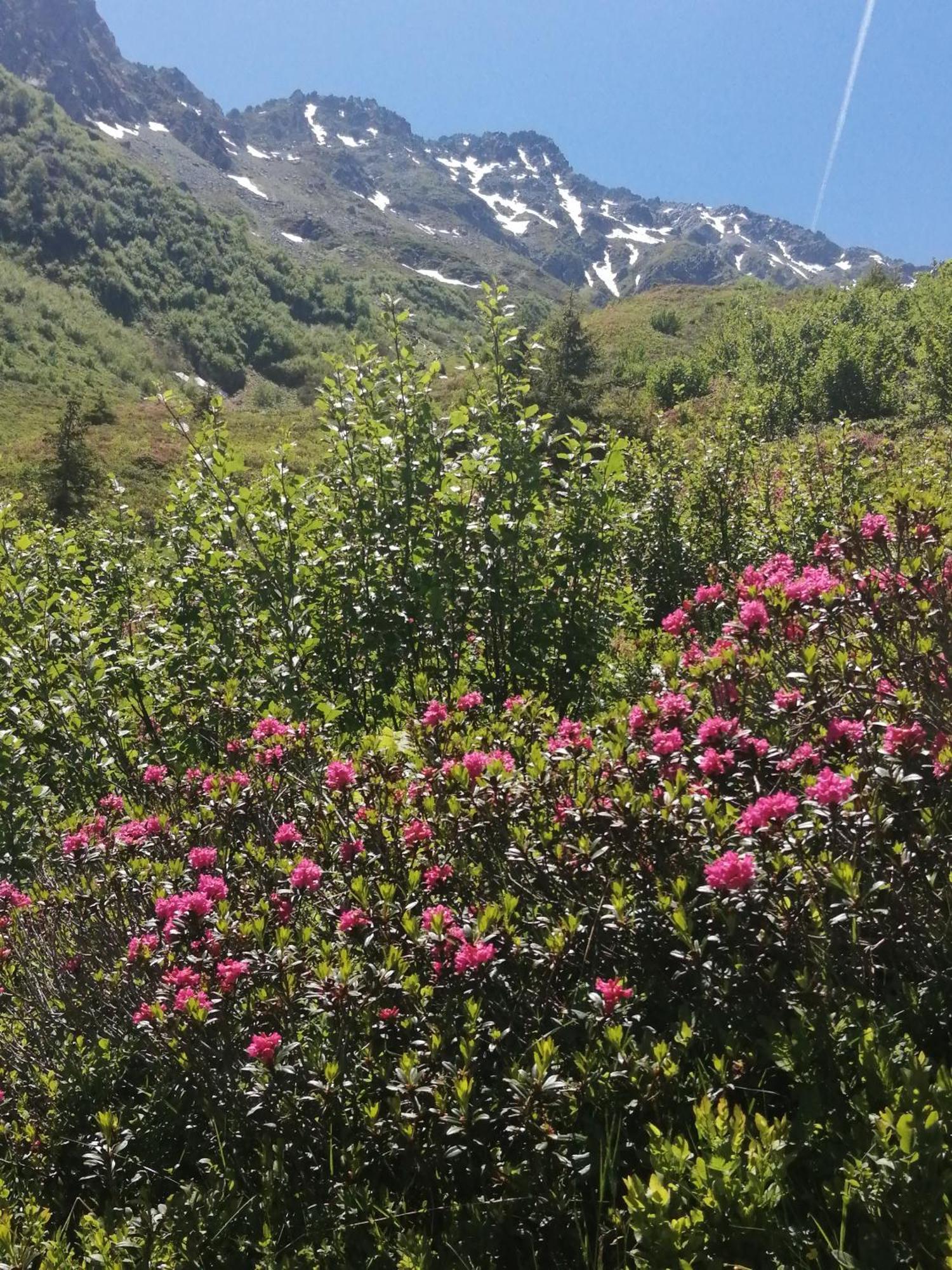 La Ferrière Superbe Studio Aux 7 Laux מראה חיצוני תמונה